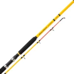 CANNE  BEASTMASTER CX BOAT 150-300g