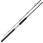 CANNE PENN SENATOR 3165RS 661 40/60LBS TROLLING