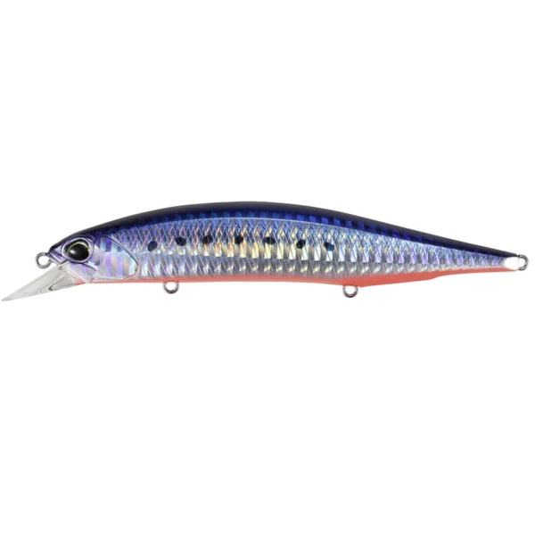 REALIS JERKBAIT 120S SW MAZUM SARDINE