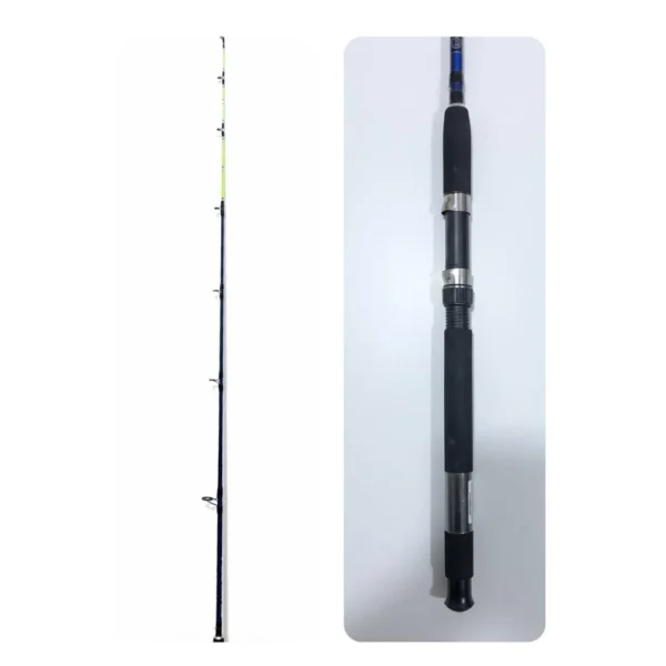 Canne DAP FISHING Saurel SW 60/120g
