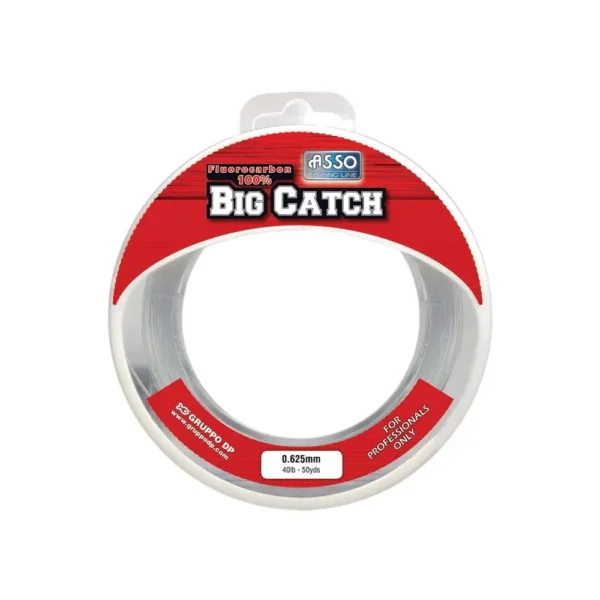 Fluorocarbone Asso Big Catch